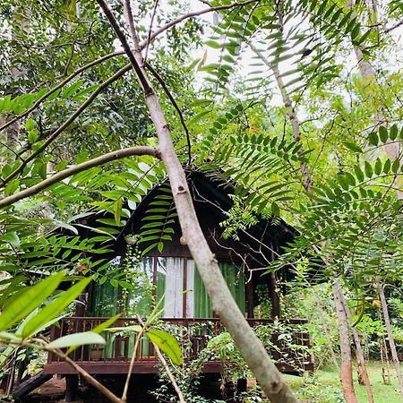 Hotel Coconut Tree House Udawalawe Exterior foto