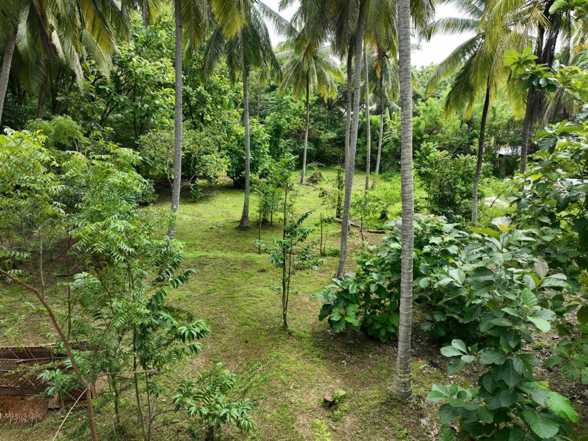 Hotel Coconut Tree House Udawalawe Exterior foto