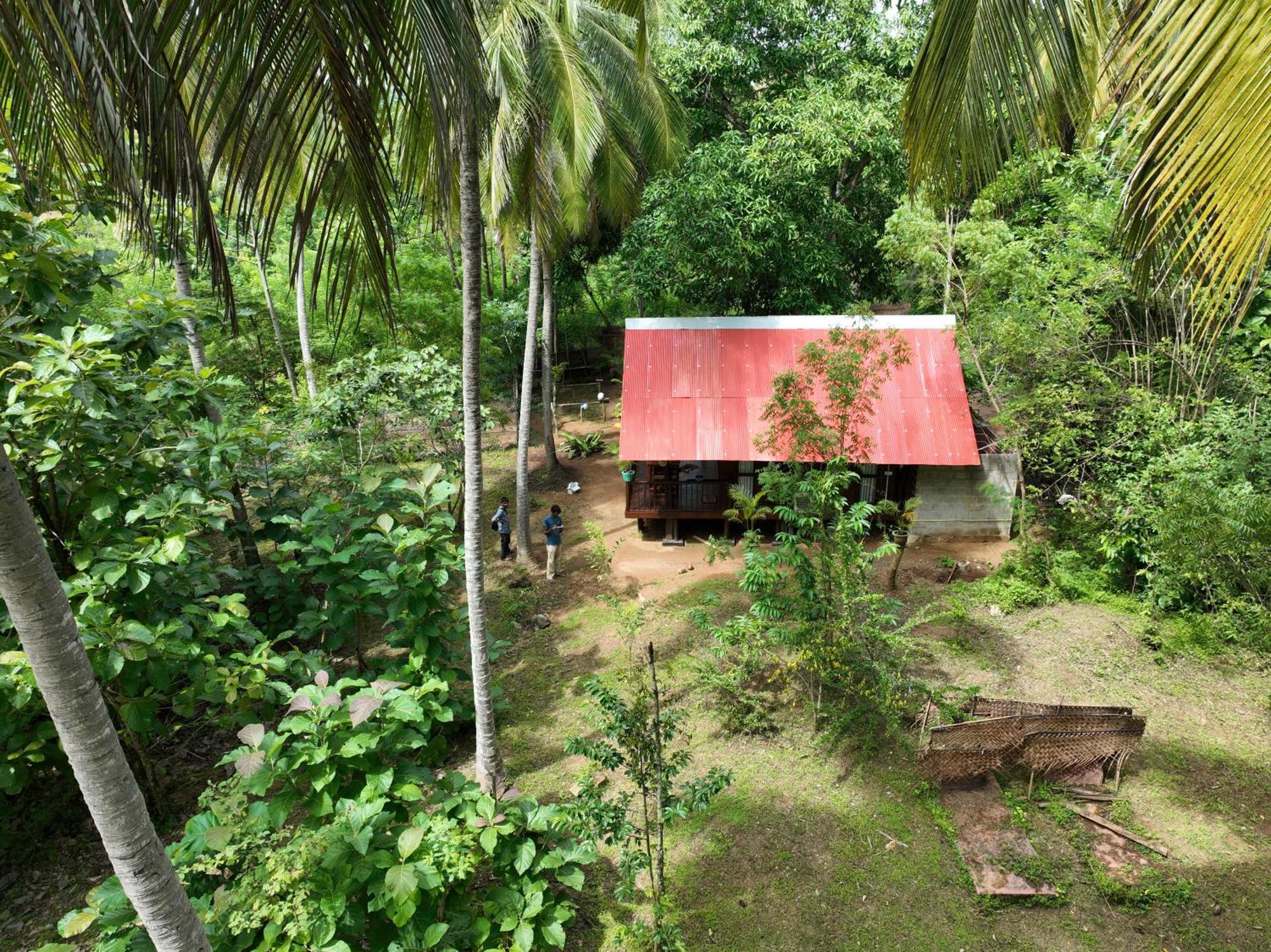 Hotel Coconut Tree House Udawalawe Exterior foto