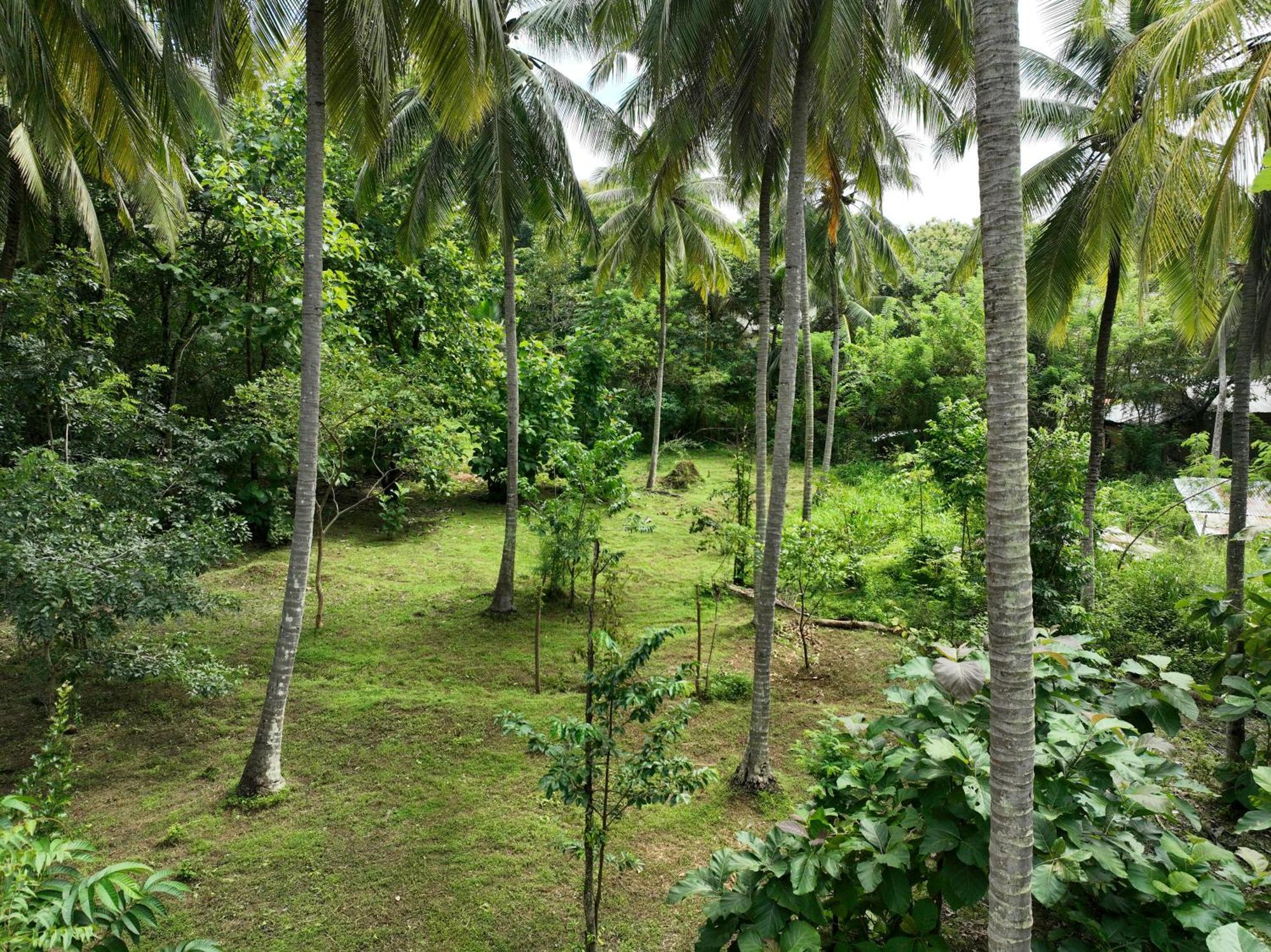 Hotel Coconut Tree House Udawalawe Exterior foto