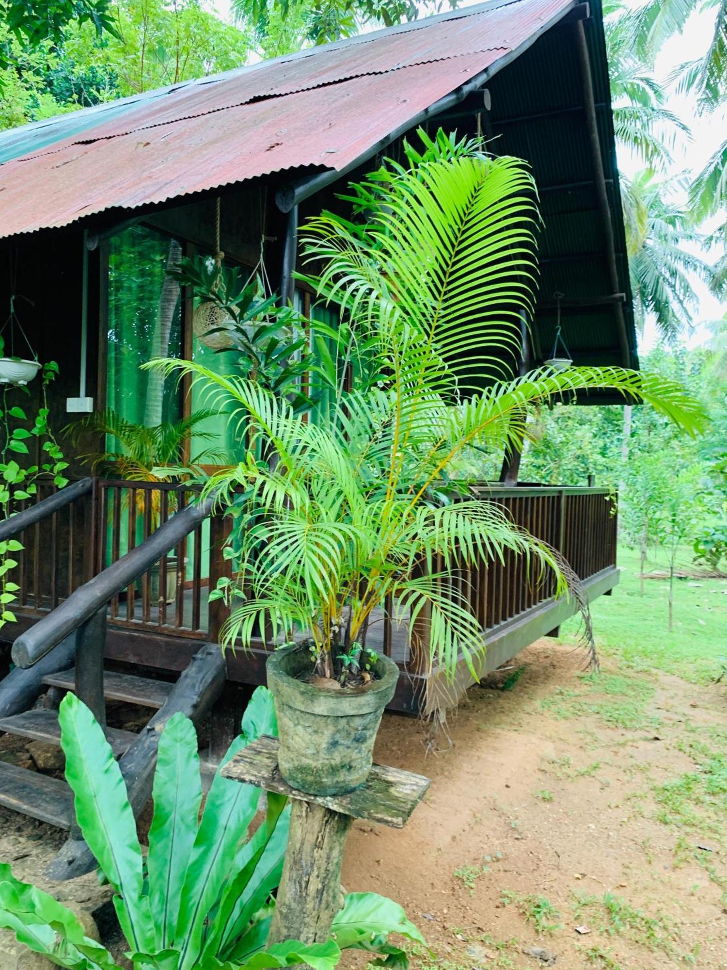 Hotel Coconut Tree House Udawalawe Exterior foto