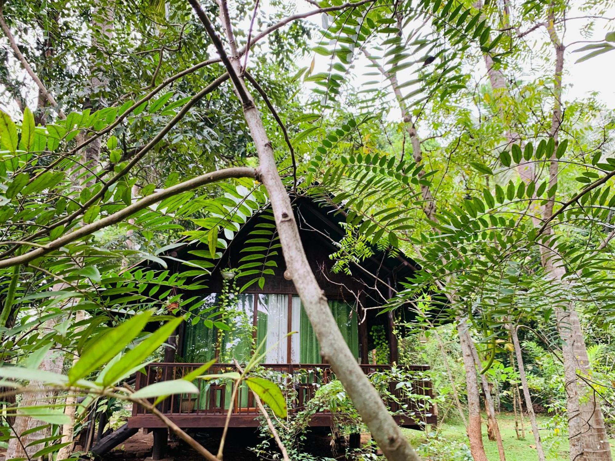 Hotel Coconut Tree House Udawalawe Exterior foto